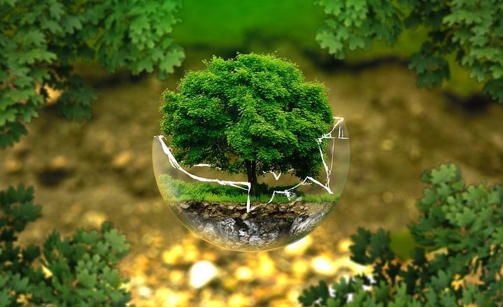 Jakim sposobem poznać ekspertów od dezynsekcji?