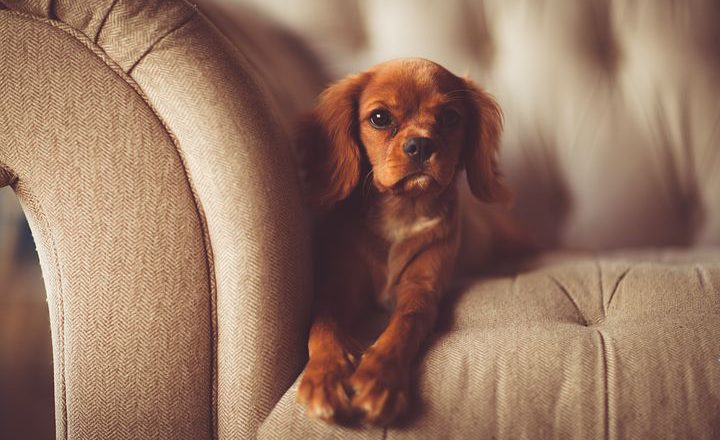 Aranż i styl wnętrza