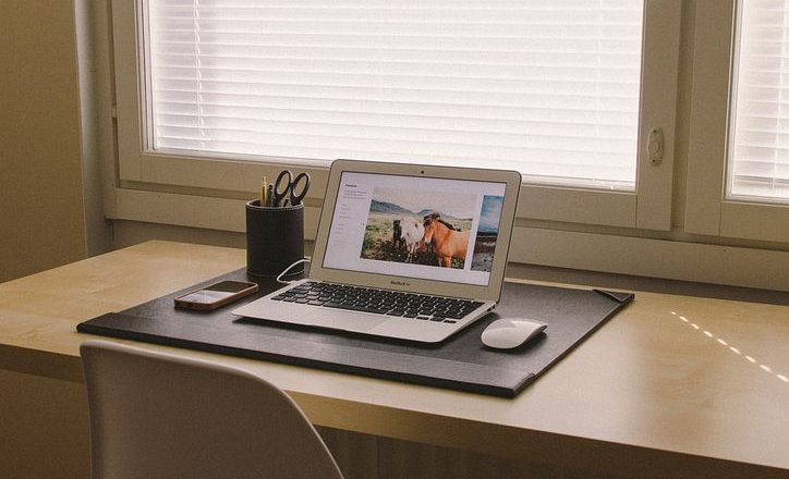 Które panele podłogowe wybrać do mieszkania ze zwierzętami?