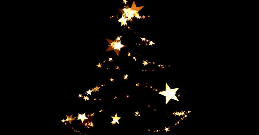 W jakim miejscu nabyć perfekcyjną choinkę?