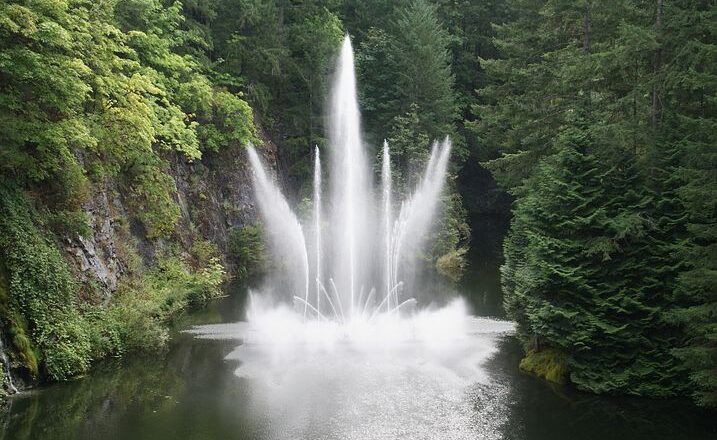 Hydrożel ogrodniczy – czy musisz stosować to rozwiązanie w ogrodzie?