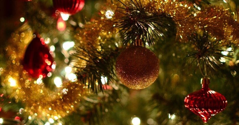 Jaką choinkę wybrać najlepiej na święta