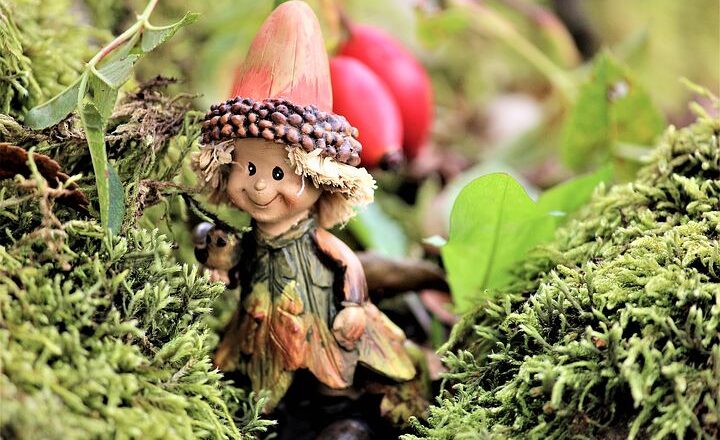 O czym należy pamiętać przy wyborze firmy robiącej projekty ogrodów