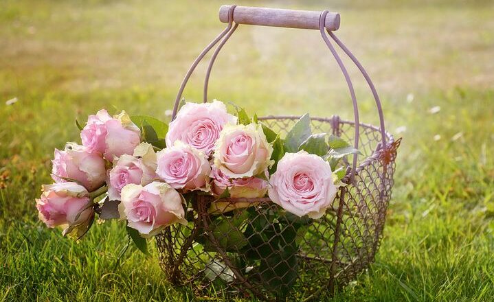 Jak można samemu zadbać o swój ogród z nadejściem wiosny