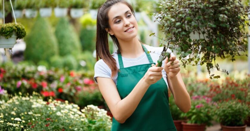 Czemu sklep ogrodniczy jest dobrym miejscem na kupno roślin