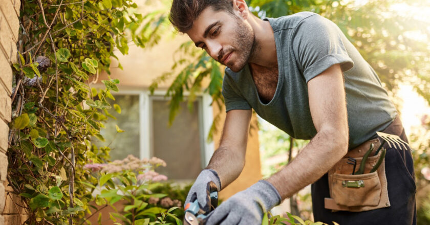 Pielęgnacja ogrodu wiosną – jak się za to zabrać
